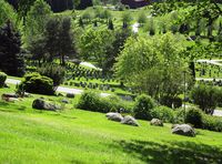 Oversikt over Alfaset gravlund juni 2015. Foto: Stig Rune Pedersen