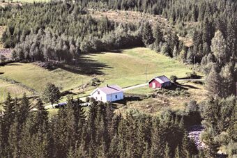 Alfheim (Gjermundsrud) gnr. 81. 2 Kongsvinger 1962.jpg