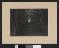 341. Allè på Semb hovedgård - no-nb digifoto 20160503 00165 bldsa EYDE 5 17B 073.jpg