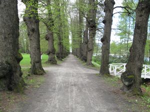 Alle Gulskogen park.JPG