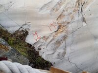 Foto: Eva Rogneflåten (2020)