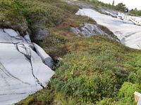 Foto: Eva Rogneflåten (2020)