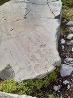 Foto: Eva Rogneflåten (2020)