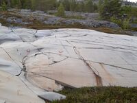 Foto: Eva Rogneflåten (2020)