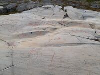 Foto: Eva Rogneflåten (2020)