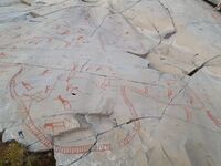 Foto: Eva Rogneflåten (2020)