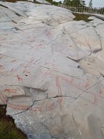 Foto: Eva Rogneflåten (2020)