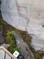 Foto: Eva Rogneflåten (2020)