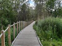 Foto: Eva Rogneflåten (2020)