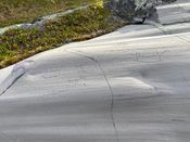 Motiv fra helleristningsfeltet ved Alta museum. Foto: Lars Egil Sørsdal (2020)