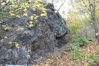 50. Alunbrudd i Ekebergskrenten.JPG