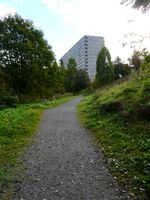 En av Ammerud-blokkene sett fra gangstien ved Alna. Foto: Ida Tolgensbakk