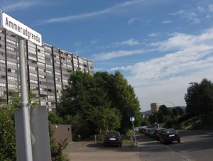 Ammerudgrenda Oslo 2013.jpg