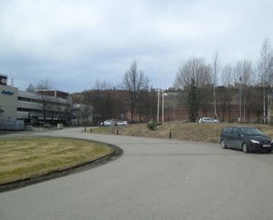 Amunds vei Oslo 2013.jpg