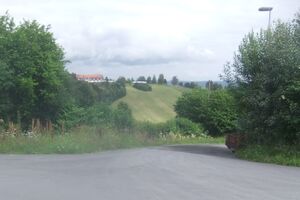 Andreas Nordlands veg crop.jpg