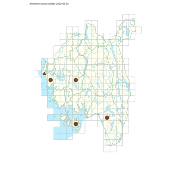 Anemone ranunculoides.png