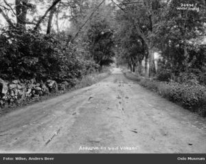 Ankerveien Wilse 1928 OB.NW0917.jpg