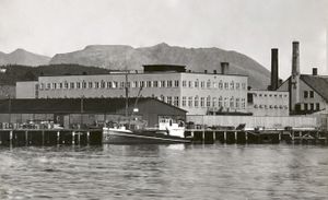 Anlegget i Hamnegata 1950.jpg
