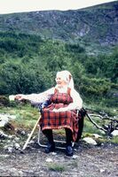 Bilete 12: Biltur til "vestsida" (eigentleg sør) på Ustaoset. Kaffepause i sumarsola. Foto: Ingebjørg Vindegg, 1970-talet.