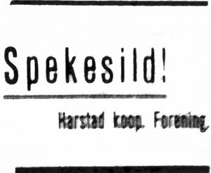 Annonse 2 fra Harstad kooperative Forening i Dagens Nyheter 10.5.1924.jpg