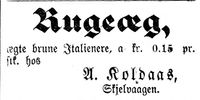 66. Annonse II fra A. Koldaas i Indtrøndelagen 18.4.1900.jpg