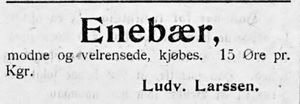 Annonse II fra Ludvig Larssen i Namdalens Folkeblad 1901.jpg