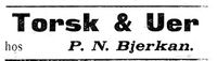 174. Annonse II fra P. N. Bjerkan i Indtrøndelagen 31.8. 1900.jpg