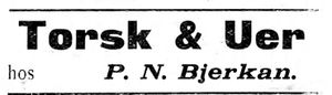 Annonse II fra P. N. Bjerkan i Indtrøndelagen 31.8. 1900.jpg