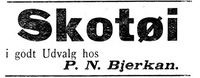 477. Annonse IV fra P. N. Bjerkan i Indtrøndelagen 31.8. 1900.jpg