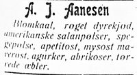 333. Annonse fra A. J. Aanesen i Haalogaland 18.4.-06.jpg
