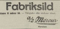 316. Annonse fra AS Mercur i Nordlys 21.08. 1923.jpg