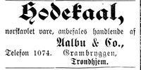 155. Annonse fra Aalbu & Co i Mjølner 23. 10. 1899.jpg