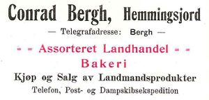 Annonse fra Conrad Bergh under Harstadutstillingen 1911.jpg