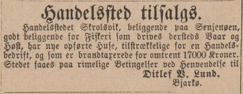 Annonse fra Ditlev V. Lund i Adressebladet 18.01.1880.jpg