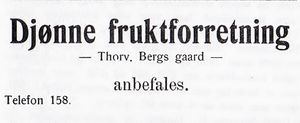 Annonse fra Djønne fruktforretning i Narvikboka 1912.jpg