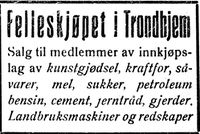 165. Annonse fra Felleskjøpet i Trønderbladet 22.12. 1926.jpg