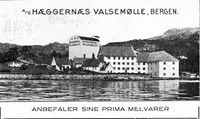 316. Annonse fra Hæggernæs valsemølle i Florø og litt om Sunnfjord.jpg
