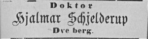 Annonse fra Hjalmar Schjelderup i Tromsø Amtstidende 27.02. 1889 .jpg