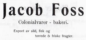 Annonse fra Jacob Fossi Narvikboka 1912.jpg