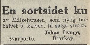 Annonse fra Johan Lyngø i Harstad Tidende 04.03. 1940.jpg