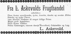 Annonse fra L. Askevold i Søndmøre Folkeblad 8.1.1892.jpg