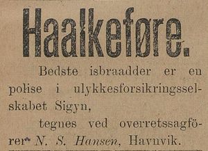 Annonse fra N.S. Hansen i Tromsø Amtstidende 29.11. 1895.jpg