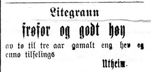Annonse fra Ner-Lø i Indtrøndelagen 18.4.1900.jpg