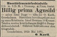 357. Annonse fra O. Kavli i Tromsø Stiftstidende 29.05.1881.jpg