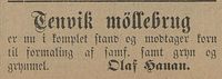 18. Annonse fra Olaf Hauan i Tromsø Amtstidende 25.10. 1896.jpg