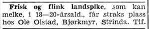 Annonse fra Ole Olstad i Adresseavisen 8.10. 1942.jpg