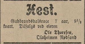 Annonse fra Ole Thoresen i Haalogaland 01.08. 1908.jpg
