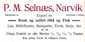 Annonse fra P.M. Selnæs under Harstadutstillingen 1911.jpg