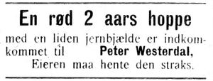 Annonse fra Peter Westerdal i Indtrøndelagen 20.6.1906.jpg