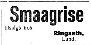 Annonse fra Ringseth på Lund i Indhereds-Posten 31.1.1921.jpg
